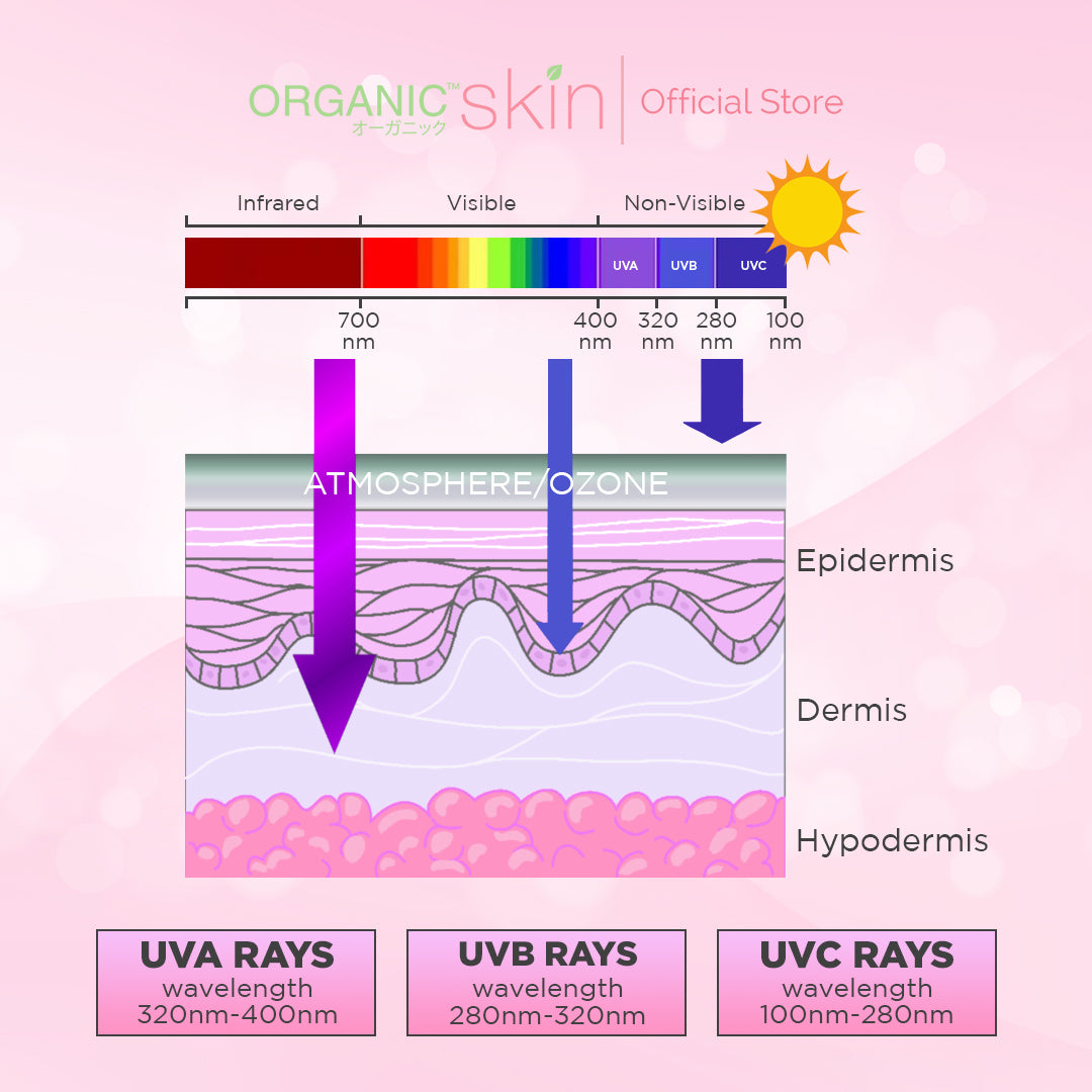 Organic Skin Japan Sun Protect Daily Sunscreen 50ml SPF 55 Sunblock All Skin Type Unscented